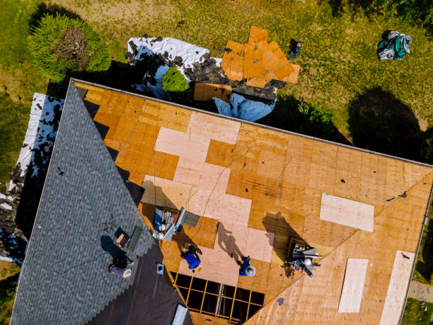 Best Flat Roof Repair Services  in Danville, AR