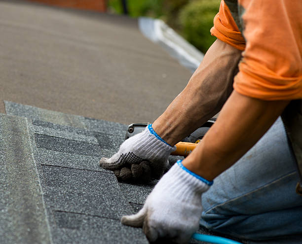 Gutter Installation and Roofing in Danville, AR