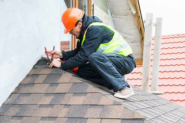 Best Roof Gutter Cleaning  in Danville, AR